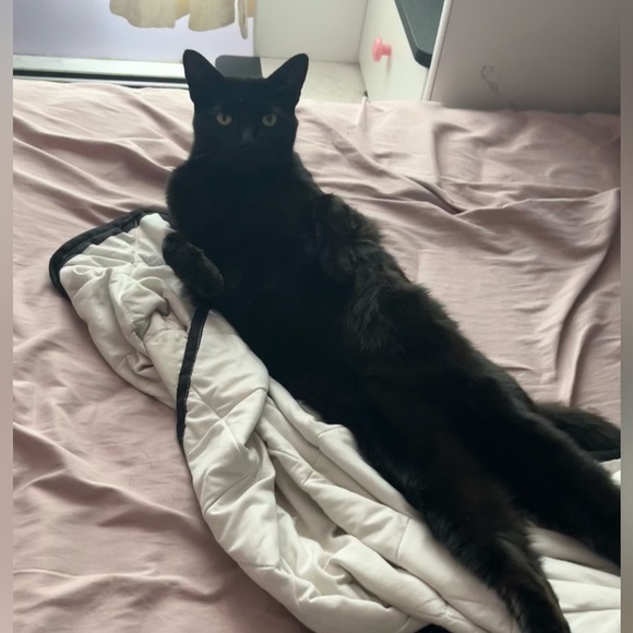 LIVE UPDATES 💕 - Picture 7 of 7